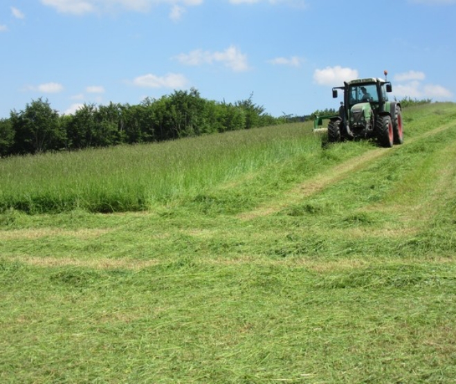 image_ferme_calmhile3