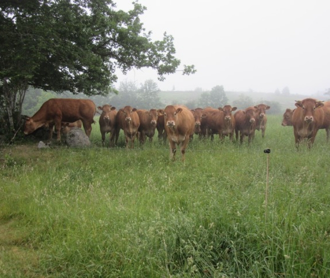 image_ferme_calmhile4