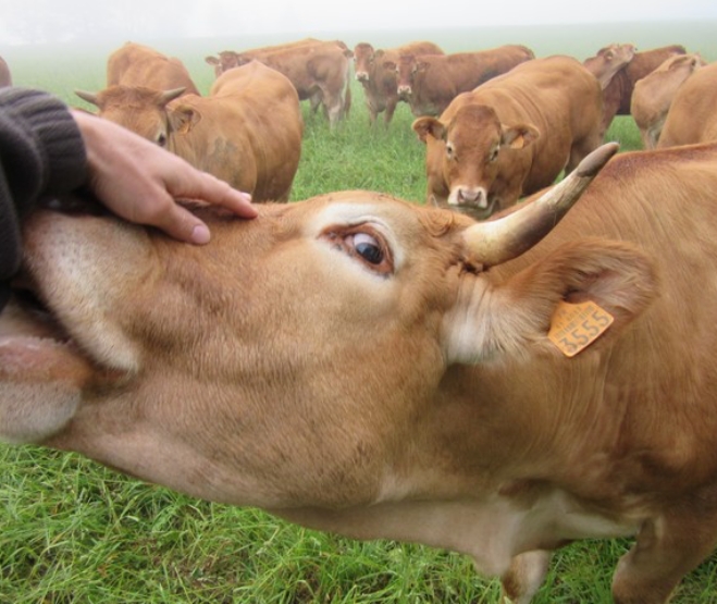 Ferme LA CALMILHE Famille Régis